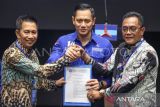 NasDem merapat ke Nadalsyah-SKY di Pilgub Kalteng 2024