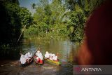 Sejumlah siswi SDN Basirih 10 mengayuh perahu kecil yang diisi tiga orang dengan jarak sekitar 15 meter, kemudian peserta berputar menuju garis finis di Sungai Jelai (Anak Sungai Martapura) Kelurahan Basirih Selatan, Kota Banjarmasin, Kalimantan Selatan, Sabtu (17/8/2024). Lomba balap perahu kecil yang diikuti 44 siswa SDN Basirih 10 tersebut dalam rangka memeriahkan HUT ke-79 Republik Indonesia. ANTARA/Abdul Hakim.