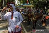 Warga berfoto dengan kuda saat mengikuti karnaval delman kemerdekaan di Bandung, Jawa Barat, Sabtu (17/8/2024). Karnaval tersebut untuk menyemarakkan HUT Ke-79 Republik Indonesia. ANTARA FOTO/Novrian Arbi/agr