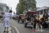 Warga menaiki delman saat mengikuti karnaval delman kemerdekaan di Bandung, Jawa Barat, Sabtu (17/8/2024). Karnaval tersebut untuk menyemarakkan HUT Ke-79 Republik Indonesia. ANTARA FOTO/Novrian Arbi/agr