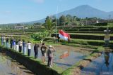 Kelompok tani Somya Pertiwi melakukan penghormatan kepada bendera Merah Putih saat upacara bendera di tengah sawah di Dusun Wongaya Betan, Desa Mangesta, Tabanan, Bali, Sabtu (17/8/2024). Sebanyak 50 petani di dusun tersebut mengikuti upacara bendera memperingati HUT ke-79 Kemerdekaan Republik Indonesia. ANTARA FOTO/Nyoman Hendra Wibowo/wsj.