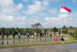 Kelompok tani Somya Pertiwi melakukan penghormatan kepada bendera Merah Putih saat upacara bendera di tengah sawah di Dusun Wongaya Betan, Desa Mangesta, Tabanan, Bali, Sabtu (17/8/2024). Sebanyak 50 petani di dusun tersebut mengikuti upacara bendera memperingati HUT ke-79 Kemerdekaan Republik Indonesia. ANTARA FOTO/Nyoman Hendra Wibowo/wsj.