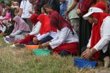 Sejumlah warga berlomba adu cepat memarut kelapa saat mengikuti lomba 17 Agustus di Desa Lamgapang, Krueng Barona Jaya, Aceh Besar, Aceh Minggu (18/8/2024). Perlombaan rakyat seperti balap karung, parut kelapa, estafet tepung terigu tersebut diikuti warga lintas usia, yang digelar untuk memeriahkan HUT ke 79 Kemerdekaan Republik Indonesia, sekaligus upaya dalam meningkatkan kekompakan antar sesama masyarakat. ANTARA FOTO/Khalis Surry