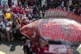 Warga mengikuti parade Cianjur Agriculture Carnival di Kabupaten Cianjur, Jawa Barat, Minggu (18/8/2024). Kegiatan yang diikuti 32 kecamatan di Kabupaten Cianjur tersebut dalam rangka memperkenalkan potensi seni budaya dan hasil pertanian sekaligus menyemarakkan HUT Ke-79 Kemerdekaan RI. ANTARA FOTO/Henry Purba/agr
