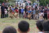 Sejumlah anak beradu cepat saat lomba balap karung di Desa Lamgapang, Krueng Barona Jaya, Aceh Besar, Aceh Minggu (18/8/2024). Perlombaan rakyat seperti balap karung, parut kelapa, estafet tepung terigu tersebut diikuti warga lintas usia, yang digelar untuk memeriahkan HUT ke 79 Kemerdekaan Republik Indonesia, sekaligus upaya dalam meningkatkan kekompakan antar sesama masyarakat. ANTARA FOTO/Khalis Surry