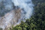 Foto udara kebakaran hutan dan lahan (karhutla) di kawasan penyangga Taman Nasional Bukit Tigapuluh (TNBT), Tebo, Jambi, Minggu (18/8/2024). Kebakaran yang terjadi sejak Sabtu (17/8) malam itu hanya berjarak sekitar 3 kilometer dari Taman Nasional Bukit Tigapuluh. ANTARA FOTO/Wahdi Septiawan/nz