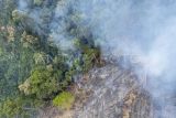 Foto udara kebakaran hutan dan lahan (karhutla) di kawasan penyangga Taman Nasional Bukit Tigapuluh (TNBT), Tebo, Jambi, Minggu (18/8/2024). Kebakaran yang terjadi sejak Sabtu (17/8) malam itu hanya berjarak sekitar 3 kilometer dari Taman Nasional Bukit Tigapuluh. ANTARA FOTO/Wahdi Septiawan/nz