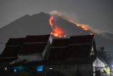 Kebakaran hutan Gunung Merapi Ungup-ungup terlihat dari Desa  Bangsring, Wongsorejo, Banyuwangi, Jawa Timur, Selasa (20/8/2024). Menurut warga sekitar kebakaran diatas Gunung Merapi Ungup-ungup yang berada di kawasan Gunung Ijen itu terlihat sejak Senin (19/8) siang dan hingga saat ini kebakaran terus meluas karena sulitnya akses jalan untuk memadamkan. Antara Jatim/Budi Candra Setya/um