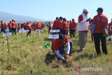 ASDP menanam 2.000 pohon di Lombok Timur dukung dekarbonisasi