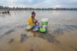 Seorang warga mencuci peralatan dapur di Sungai Batanghari yang keruh, Desa Sarang Burung, Muaro Jambi, Jambi, Senin (19/8/2024). Ratusan kepala keluarga di desa tersebut terpaksa memanfaatkan air Sungai Batanghari yang keruh untuk keperluan mandi, cuci, dan kakus akibat keringnya sumur warga sejak sebulan terakhir. ANTARA FOTO/Wahdi Septiawan/tom.