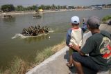 Warga melihat perlombaan dayung perahu karet di Long Storage Kalimati, Desa Kwatu, Mojoanyar, Mojokerto, Jawa Timur, Rabu (21/8/2024). Lomba tersebut bertujuan untuk meningkatkan kemampuan setiap prajurit dalam bekerja sama dalam tim dan mencari bibit atlet dayung dari Korps Marinir TNI AL. Antara Jatim/Umarul Faruq/mas