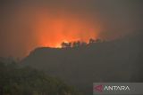 Lanskap hutan yang terbakar di Gunung Guntur terlihat dari Kawasan Cipanas, Kabupaten Garut, Jawa Barat, Selasa (20/8/2024). Data dari Dinas Pemadam Kebakaran Kabupaten Garut mencatat, kebakaran yang melanda hutan di Gunung Guntur sejak Senin (19/8/2024) petang membakar 16 hektare kawasan hutan. ANTARA FOTO/Raisan Al Farisi/agr