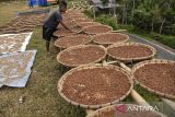 Petani menjemur cengkeh saat musim panen raya di Desa Cisarua, Kabupaten Tasikmalaya, Jawa Barat, Rabu (21/8/2024). Pemerintah desa setempat mencatat omset petani cengkeh sebesar Rp7,2 miliar per tahun dengan hasil panen cengkeh selama panen raya sebesar 700 ton dari luas lahan 700 hektare. ANTARA FOTO/Adeng Bustomi/agr