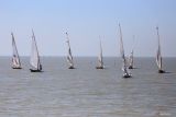 Peserta bersiap di garis start saat mengikuti lomba balap perahu layar tradisional di Pantai Kenjeran, Surabaya, Jawa Timur, Rabu (21/8/2024). Perlombaan yang mengusung tema Lautnya Terjaga, Nelayan Merdeka tersebut diikuti 50 peserta dalam rangka menyemarakkan HUT ke-79 Kemerdekaan Republik Indonesia. ANTARA Jatim/Moch Asim/um.