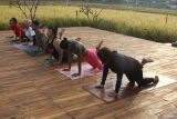 Anggota komunitas yoga melatih gerakan saat sesi latihan di Studio Sawah Yoga Oerip, Ngawi, Jawa Timur, Kamis (22/8/2024). Komunitas olahraga tersebut memanfaatkan area persawahan sebagai studio yoga untuk menambah penghayatan dan pendalaman selama proses latihan sekaligus mempromosikan potensi pariwisata di kawasan itu. ANTARA Jatim/Ari Bowo Sucipto/mas.