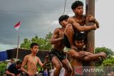 Lomba panjat pinang memeriahkan HUT Kemerdekaan RI