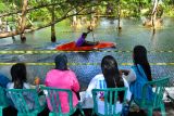 Penonton menyaksikan lomba Balap kano di Rawa Pantai Cacalan, Banyuwangi, Jawa Timur, Jumat (23/8/2024). Lomba Balap kano yang yang diikuti 250 peserta dari berbagai daerah di Jawa Timur itu selain untuk mencari bibit atlet kano yang masih minim karena kekurangan tempat berlatih juga sebagai upaya mengenalkan destinasi Wisata Pantai Cacalan yang memiliki wahana bermain kano. Antara Jatim/Budi Candra Setya/um