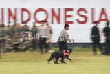 Seorang anggota Polri bersama unit satwa K-9 berlari usai mengikuti gelar pasukan Operasi Mantap Praja Mahakam 2024 di Lapangan Brimob Polda M. Jasin, Balikpapan, Kalimantan Timur, Jumat (23/8/2024). Kegiatan yang diikuti sebanyak 6.284 personel gabungan TNI-Polri hingga instansi terkait tersebut digelar dalam rangka pengamanan Pilkada serentak tahun 2024 di wilayah Provinsi Kalimantan Timur. Antara Kaltim/M Risyal Hidayat