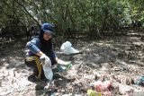 Warga memungut sampah di Hutan Mangrove Wonorejo, Surabaya, Jawa Timur, Sabtu (24/8/2024). Aksi bersih-bersih hutan mangrove dari sampah dan menanam bibit mangrove yang dilakukan oleh aktivis lingkungan Bruin, mahasiswa dan masyarakat itu merupakan bentuk kepedulian kebersihan lingkungan, khususnya di hutan yang menjadi tempat wisata. Antara Jatim/Didik Suhartono/um