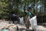 Sejumlah warga memungut sampah di Hutan Mangrove Wonorejo, Surabaya, Jawa Timur, Sabtu (24/8/2024). Aksi bersih-bersih hutan mangrove dari sampah dan menanam bibit mangrove yang dilakukan oleh aktivis lingkungan Bruin, mahasiswa dan masyarakat itu merupakan bentuk kepedulian kebersihan lingkungan, khususnya di hutan yang menjadi tempat wisata. Antara Jatim/Didik Suhartono/um