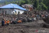 Sejumlah petugas SAR gabungan melakukan pencarian korban yang tertimbun akibat banjir bandang di Kelurahan Rua, Kota Ternate, Maluku Utara, Minggu (25/8/2024). Banjir bandang yang membawa material tanah, pasir, dan batu dari gunung tersebut menerjang Kelurahan Rua pada Minggu (25/8) pukul 04.00 WIT dan mengakibatkan sedikitnya 13 orang meninggal dunia, sementara tim gabungan terus melakukan upaya pencarian korban lainnya yang diperkirakan masih tertimbun lumpur. ANTARA FOTO/Andri Saputra/wsj.