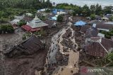 Foto udara sejumlah rumah warga yang rusak akibat banjir bandang di Kelurahan Rua, Kota Ternate, Maluku Utara, Minggu (25/8/2024). Banjir bandang yang membawa material tanah, pasir, dan batu dari gunung tersebut menerjang Kelurahan Rua pada Minggu (25/8) pukul 04.00 WIT dan mengakibatkan sedikitnya 13 orang meninggal dunia, sementara tim gabungan terus melakukan upaya pencarian korban lainnya yang diperkirakan masih tertimbun lumpur. ANTARA FOTO/Andri Saputra/wsj.