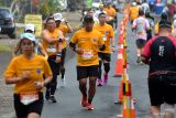 Sejumlah peserta berlari saat mengikuti Maybank Marathon 2024 di Gianyar, Bali, Minggu (25/8/2024). Lomba lari dengan predikat Elite Label dari World Athletics tersebut diikuti oleh 12.700 orang pelari dari 57 negara. ANTARA FOTO/Fikri Yusuf/wsj.