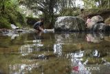 Warga mengambil air menggunakan galon di Sungai Cipamutih, Desa Gunung Tanjung, Kabupaten Tasikmalaya, Jawa Barat, Senin (26/8/2024). Sebanyak 70 Kepala Keluarga (KK) terpaksa mandi, cuci, dan kakus di sungai akibat kesulitan air bersih sejak tiga bulan terakhir karena musim kemarau. ANTARA FOTO/Adeng Bustomi/agr