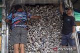 Nelayan menyusun ikan ke dalam truk di Pelabuhan Karangsong, Indramayu, Jawa Barat, Selasa (27/8/2024). Pemerintah Provinsi Jawa Barat menargetkan Pendapatan Domestik Regional Bruto (PDRB) di sektor Kelautan dan Perikanan pada tahun 2025 menembus Rp26 triliun. ANTARA FOTO/Dedhez Anggara/agr