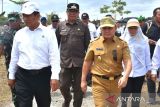 Mentan tinjau 500 ribu hektare lahan persawahan Food Estate di Kapuas