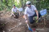 Direktur Eksplorasi PHE Muharram Jaya Panguriseng (kanan) didampingi Corporate Secretary PHE Arya Dwi Paramita (kiri) menanam bibit pohon di kawasan hutan lindung Malabar, pegunungan Puntang, Kabupaten Bandung, Jawa Barat, Jumat (30/8/2024). Penanaman yang dilakukan oleh Pertamina Hulu Energi (PHE) tersebut dalam rangka mendukung keberlanjutan dalam program konservasi pelestarian keanekaragaman hayati dan penyelamatan Owa Jawa di kawasan hutan lindung Malabar, Gunung Puntang. ANTARA FOTO/M Agung Rajasa/agr