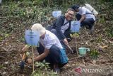 Redaktur Pelaksana LKBN Antara Teguh Priyanto (kedua kiri) menanam bibit pohon di kawasan hutan lindung Malabar, pegunungan Puntang, Kabupaten Bandung, Jawa Barat, Jumat (30/8/2024). Penanaman yang dilakukan oleh Pertamina Hulu Energi (PHE) tersebut dalam rangka mendukung keberlanjutan dalam program konservasi pelestarian keanekaragaman hayati dan penyelamatan Owa Jawa di kawasan hutan lindung Malabar, Gunung Puntang. ANTARA FOTO/M Agung Rajasa/agr