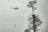 Helikopter milik BNPB terbang untuk memadamkan api kebakaran lahan di Desa Rantau Panjang, Muaro Jambi, Jambi, Kamis (29/8/2024). Sulitnya akses menuju titik api yang telah menghanguskan sedikitnya 1.000 hekater lahan di tiga desa meliputi Rantau Panjang, Rondang, dan Londrang itu memaksa petugas memaksimalkan pemadaman lewat udara. ANTARA FOTO/Wahdi Septiawan/tom.