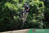 Atlet sepeda BMX Kalimantan Barat Tarigas menunjukkan aksinya saat menjalani latihan persiapan untuk PON XXI 2024 di kawasan Taman Digulis, Pontianak, Kalimantan Barat, Sabtu (31/8/2024). Atlet sepeda BMX Kalimantan Barat Tarigas yang diasuh oleh Pelatih Muhammad Nur Azmi Rasyad akan bertanding dalam PON XXI Aceh Sumut 2024 pada September mendatang. ANTARA FOTO/Jessica Wuysang