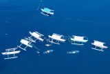 Foto aerial sejumlah wisatawan melihat Hiu Paus (Rhincodon Typus) dengan menaiki perahu di objek wisata Hiu Paus Desa Botubarani, Kabupaten Bone Bolango, Gorontalo, Sabtu (31/8/2024). Dinas Pariwisata Provinsi Gorontalo menggelar Festival Hiu Paus untuk pertama kalinya sebagai sarana promosi ekosistem pariwisata yang terintegrasi dengan kelestarian lingkungan berkelanjutan. ANTARA FOTO/Adiwinata Solihin