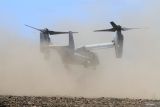 Pesawat Bell Boeing V-22 Osprey melakukan landing saat Mobile Udara pada Latihan Gabungan Bersama (Latgabma) Super Garuda Shield (SGS) di kawasan Pantai Banongan, Situbondo, Jawa Timur, Selasa (3/9/2024). Latihan Mobile Udara (Air Assault) merupakan operasi dimana pasukan tempur berpindah taktis melalui udara menggunakan sarana pesawat terbang atau heli. Antara Jatim/Umarul Faruq/mas