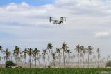 Pesawat Bell Boeing V-22 Osprey melakukan Mobile Udara pada Latihan Gabungan Bersama (Latgabma) Super Garuda Shield (SGS) di kawasan Pantai Banongan, Situbondo, Jawa Timur, Selasa (3/9/2024). Latihan Mobile Udara (Air Assault) merupakan operasi dimana pasukan tempur berpindah taktis melalui udara menggunakan sarana pesawat terbang atau heli. Antara Jatim/Umarul Faruq/mas