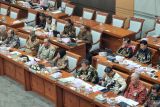 Mensos terus mencari data kelas menengah yang turun kelas untuk dibantu