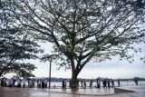 Rombongan dari Wali Kota Samarinda melakukan inspeksi ruang terbuka hijau di tepian sungai Mahakam, Samarinda, Kalimantan Timur, Rabu (4/9/2024). Pemerintah Kota Samarinda segera meresmikan Teras Samarinda sebagai ikon tepian sungai Mahakam segmen satu untuk ruang terbuka hijau modern yang dilengkapi dengan taman bermain anak, area olahraga, gerai kuliner serta gelanggang terbuka yang digunakan untuk pertunjukan hiburan dan pertunjukan seni. Antara Kaltim/M Risyal Hidayat