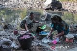 Warga mencuci peralatan makan di Sungai Cilaku, Kampung Leuwi Urug, Desa Rahong, Cilaku, Kabupaten Cianjur, Jawa Barat, Kamis (5/9/2024). Sejak tiga bulan terakhir, sebanyak 103 Kepala Keluarga (KK) terpaksa memanfaatkan air Sungai Cilaku untuk mandi, cuci, dan kakus akibat kesulitan air saat musim kemarau. ANTARA FOTO/Henry Purba/agr
