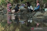 Warga mencuci pakaian di Sungai Cilaku, Kampung Leuwi Urug, Desa Rahong, Cilaku, Kabupaten Cianjur, Jawa Barat, Kamis (5/9/2024). Sejak tiga bulan terakhir, sebanyak 103 Kepala Keluarga (KK) terpaksa memanfaatkan air Sungai Cilaku untuk mandi, cuci, dan kakus akibat kesulitan air saat musim kemarau. ANTARA FOTO/Henry Purba/agr
