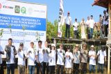 Pemkab Kulon Progo dan swasta tanam 10 ribu mangrove di Pantai Pasir Mendit