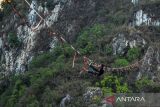 Pegiat olahraga ekstrem terjatuh berjalan di atas tali webbing pada acara Indonesia Highline Festival di Tebing Hawu, Padalarang, Kabupaten Bandung Barat, Jawa Barat, Sabtu (7/9/2024). Indonesia Highline Festival 2024 yang diikuti oleh pegiat olahraga highline dari berbagai negara seperti Indonesia, Argentina, India, Australia, dan Austria tersebut bertujuan untuk mempromosikan olahraga highline kepada masyarakat luas serta sebagai upaya melestarikan Kawasan Konservasi Karst Citatah. ANTARA FOTO/Raisan Al Farisi/agr
