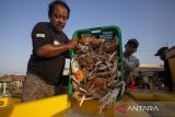 Pekerja mengangkut rajungan untuk diekspor di Karangsong, Indramayu, Jawa Barat, Sabtu (7/9/2024). Kementerian Koordinator Kemaritiman dan Investasi (Kemenko Marves) menyatakan Kontribusi sektor kelautan terhadap Produk Domestik Bruto (PDB) nasional saat ini baru mencapai 7,9 persen dan pemerintah menargetkan kontribusi sektor kelautan terhadap PDB meningkat menjadi 15 persen pada 2045. ANTARA FOTO/Dedhez Anggara/agr