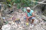 Penemuan tengkorak di Kebun Nangka Telaga Waru Lombok Timur hebohkan warga