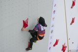 Atlet panjat tebing Banten Rajiah Sallsabillah beradu cepat saat final nomor speed relay putri PON XXI Aceh-Sumut 2024 di venue Panjat Tebing, kompleks Stadion Harapan Bangsa, Banda Aceh, Aceh, Minggu (8/9/2024). Tim atlet panjat tebing Jawa Timur meraih medali emas dengan catatan waktu 21.52 detik, perak diraih tim Banten dengan catatan waktu 23.36 detik, dan perunggu diraih tim Jawa Tengah dengan catatan waktu 25.15 detik. PP FPTI/Hendra Nurdiyansyah/gp