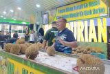 Durian manis primadona wisatawan PON di Medan