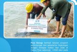 Poso Energy Restocking 1000 ikan sidat di Danau Poso