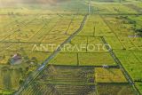 Foto udara petani mengoperasikan mesin potong padi modern saat panen padi di areal persawahan Sambutan, Samarinda, Kalimantan Timur, Selasa (10/9/2024). Kementerian Pertanian (Kementan) melalui Badan Standarisasi Instrumen Pertanian Kalimantan Timur (BSIP Kaltim) melakukan perluasan lahan pertanian tanaman pangan sekitar 21 ribu hektare dari total 40 ribu hektare dan kegiatan pendukung lain untuk peningkatan produksi, sebagai langkah antisipasi ancaman darurat pangan dari sebelumnya 3,8 ton per hektare naik menjadi 4,5 ton per hektare. Antara Kaltim/M Risyal Hidayat