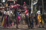 Anggota Paguyuban Seni Budaya Suko Laras Kendali Bendung Sejati (SLKBS) memainkan tari Kuda Lumping di permukiman transmigran Desa Tanjung Benanak, Tanjung Jabung Barat, Jambi, Minggu (8/9/2024). Desa Tanjung Benanak yang merupakan salah satu desa transmigrasi yang dibuka pada tahun 90-an di kabupaten itu memiliki beberapa sanggar seni yang pendiriannya diinisiasi oleh beberapa keluarga transmigran setempat untuk mengenalkan seni tradisi leluhur mereka di daerah asal kepada anak-anak yang lahir dan besar di Jambi. ANTARA FOTO/Wahdi Septiawan/tom.